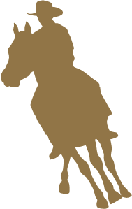 horsemanship_icon